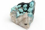 Sky-Blue Botryoidal Chrysocolla on Shattuckite - Namibia #229007-1